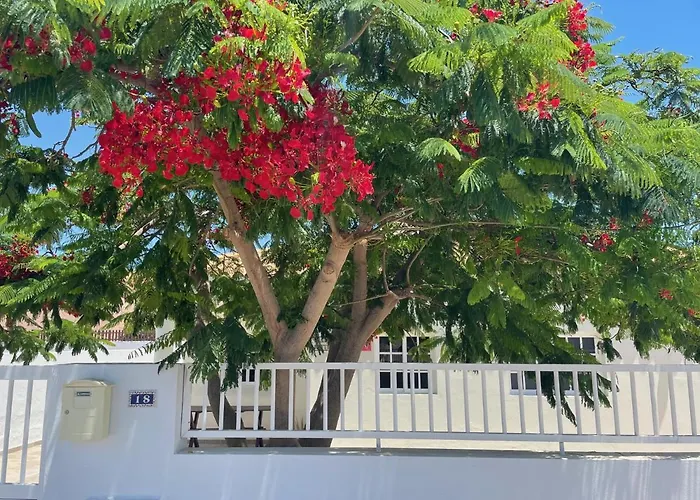 Casa Enamorado